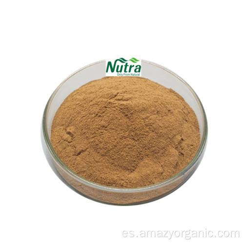 Extracto de raíz de ortiga orgánica 1.0% polvo de sílice